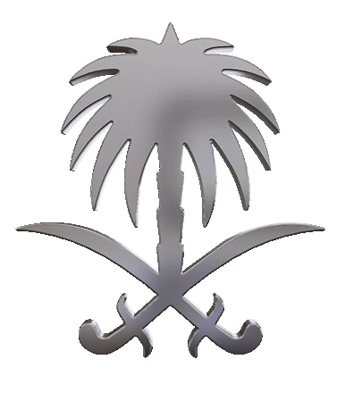 3D Spinning Logo Animation (4K)