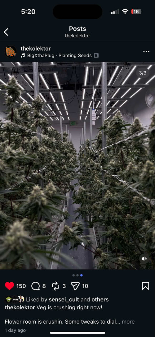 3D - Premium Brand Animation - Buddhaexpressnyc