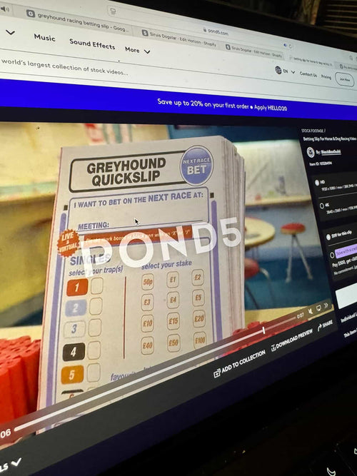 Bespoke website build - dog cage (3d) + bet slips @havinmywayvito